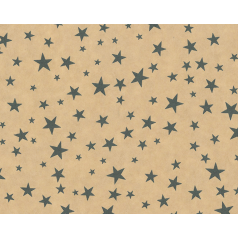 inpakpapier-stars-black-50cm-0116211.png