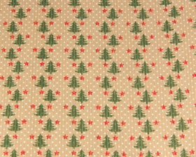 inpakpapier-mini-trees-with-annow-green-red-white-30cm-0115811_bbxd-f1.png