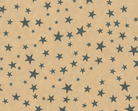 inpakpapier-stars-black-30cm-0116210.png